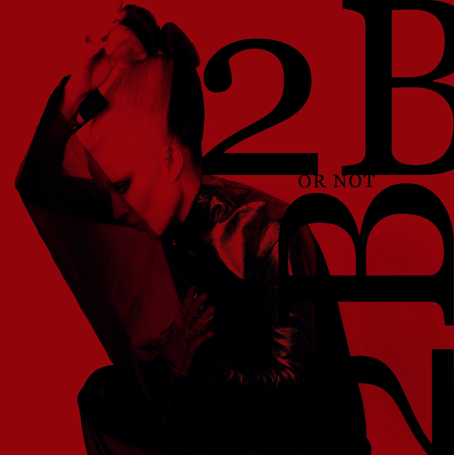 2B Or Not 2B โ The Daphne Guinness Shop